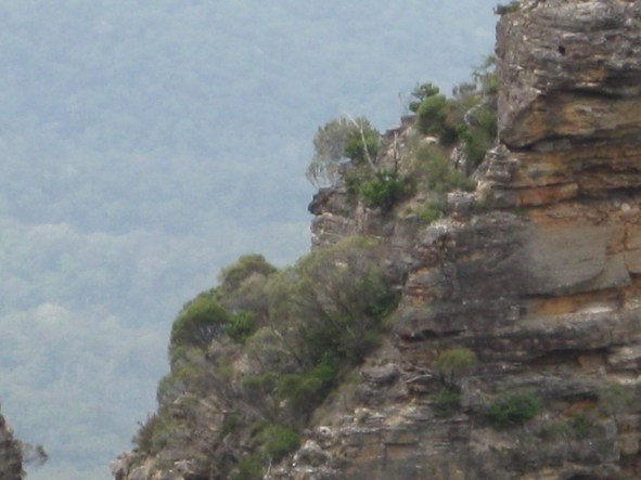 Day 78_Faith_photo.jpg