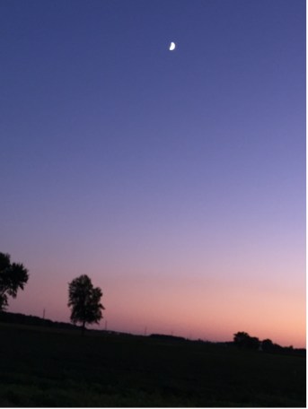 day-108-conspiracy-3-3