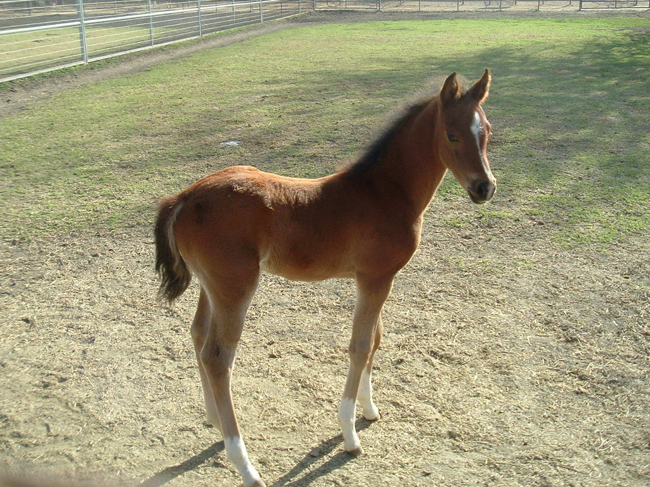 DAY 177 Potter &amp; Clay