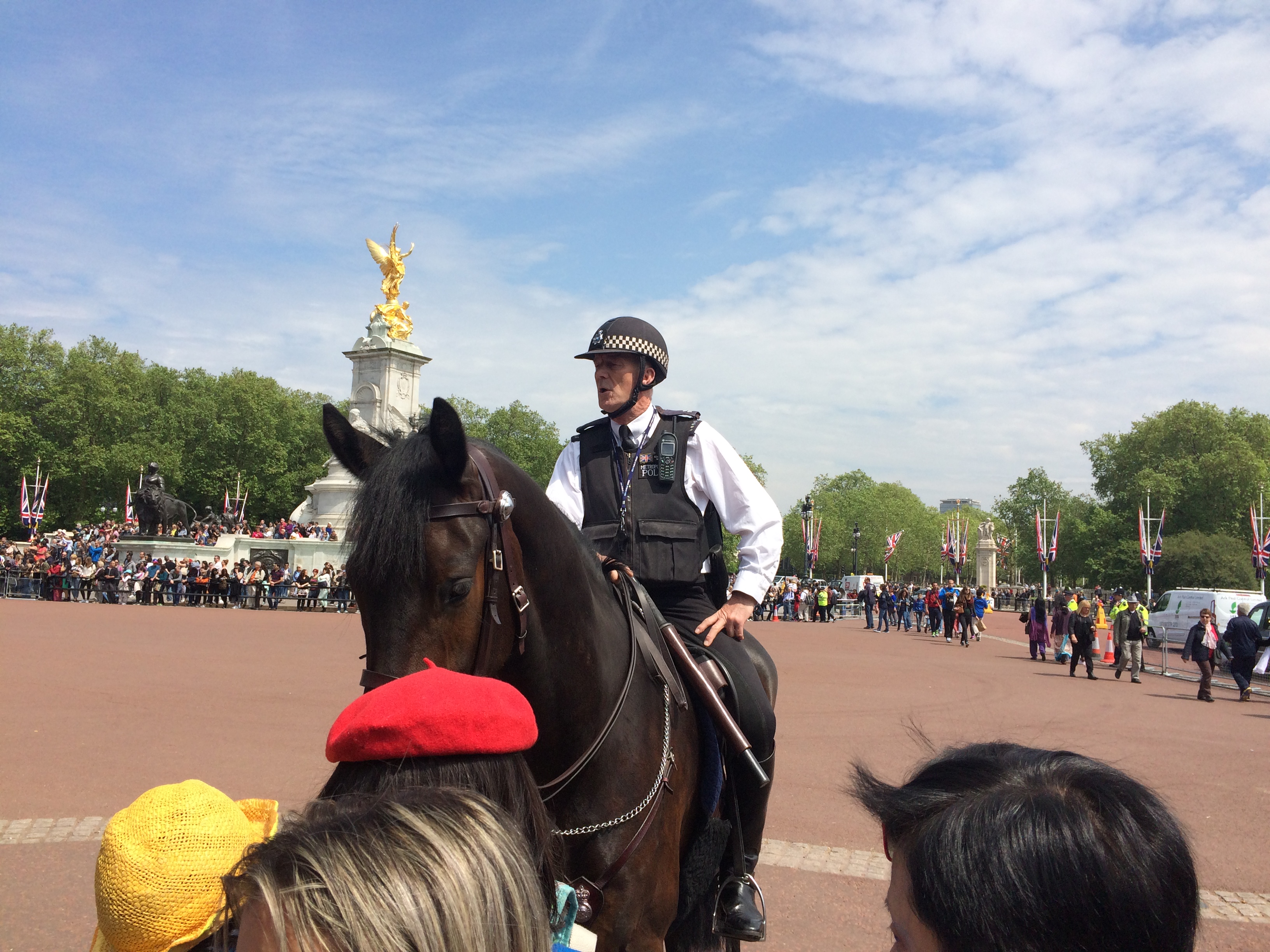 Day 181 Submit &amp; Love