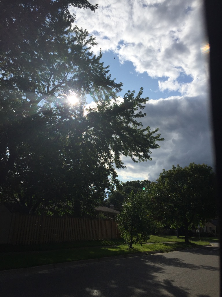 Day 190 Comingof Lord