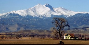 Day 212 Days of Lives