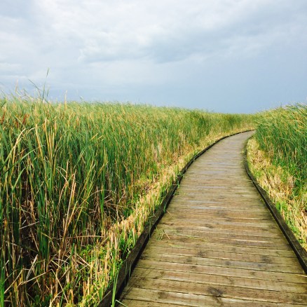 Day 223 Way Truth Life