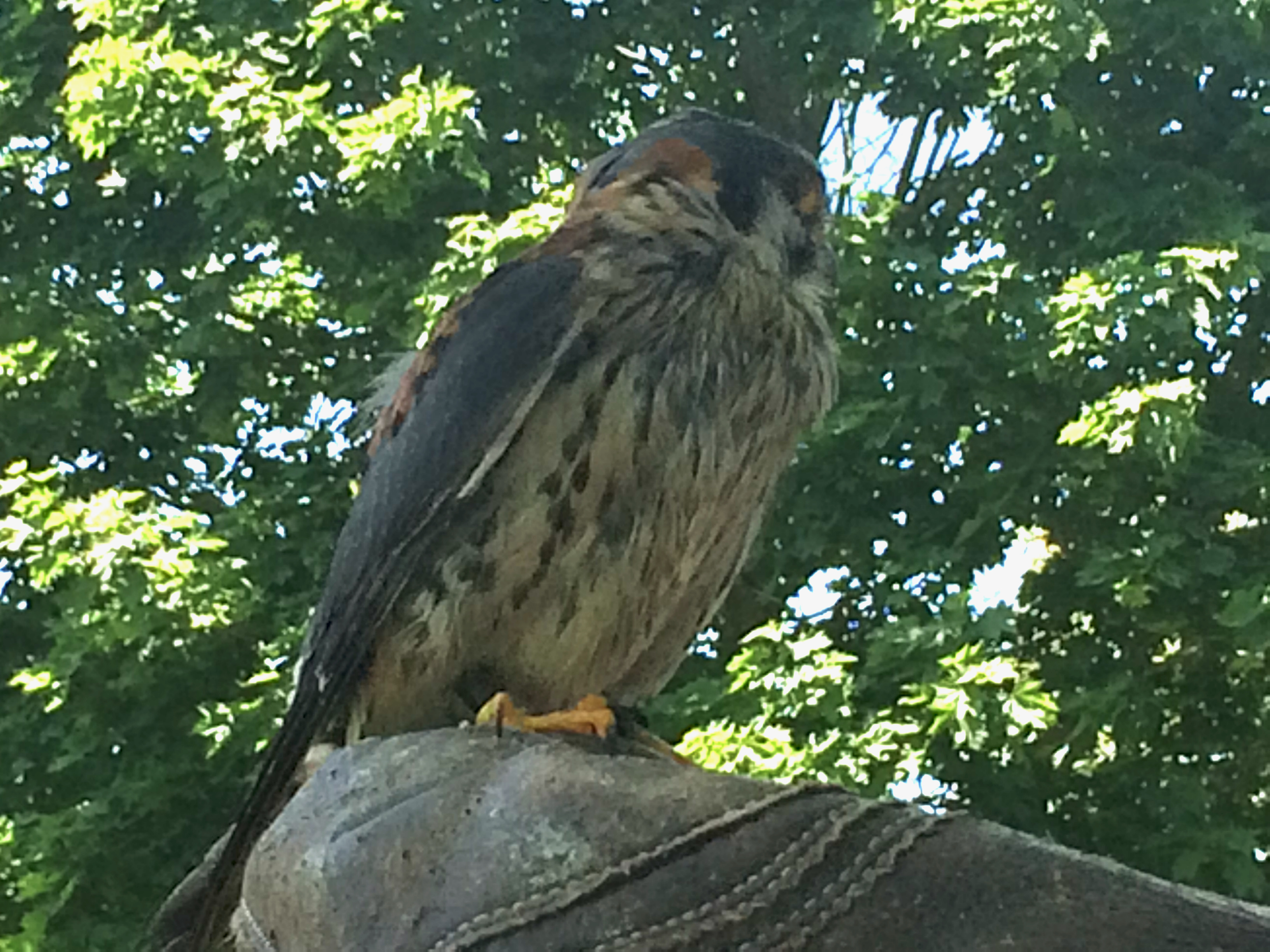 Day 276 Benefits of Wisdom