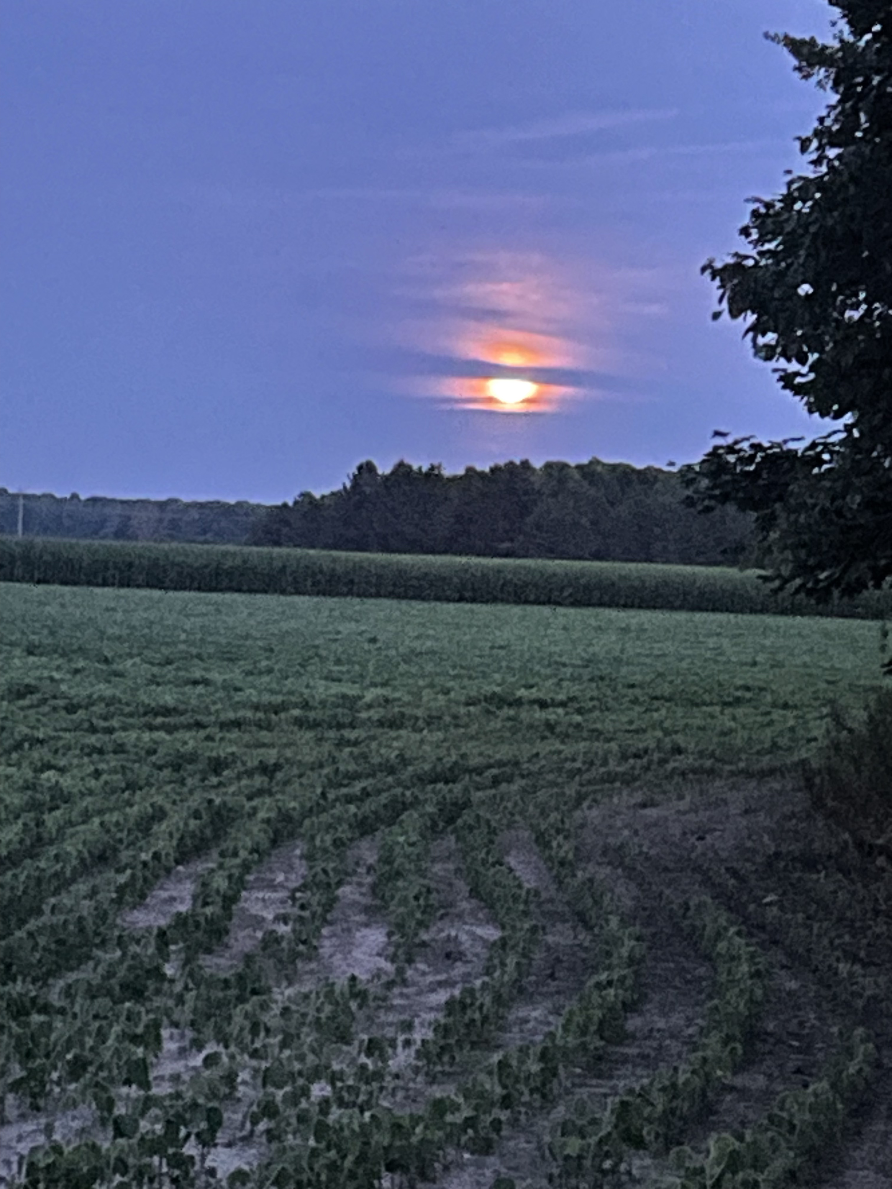 Day 277 Value of Wisdom